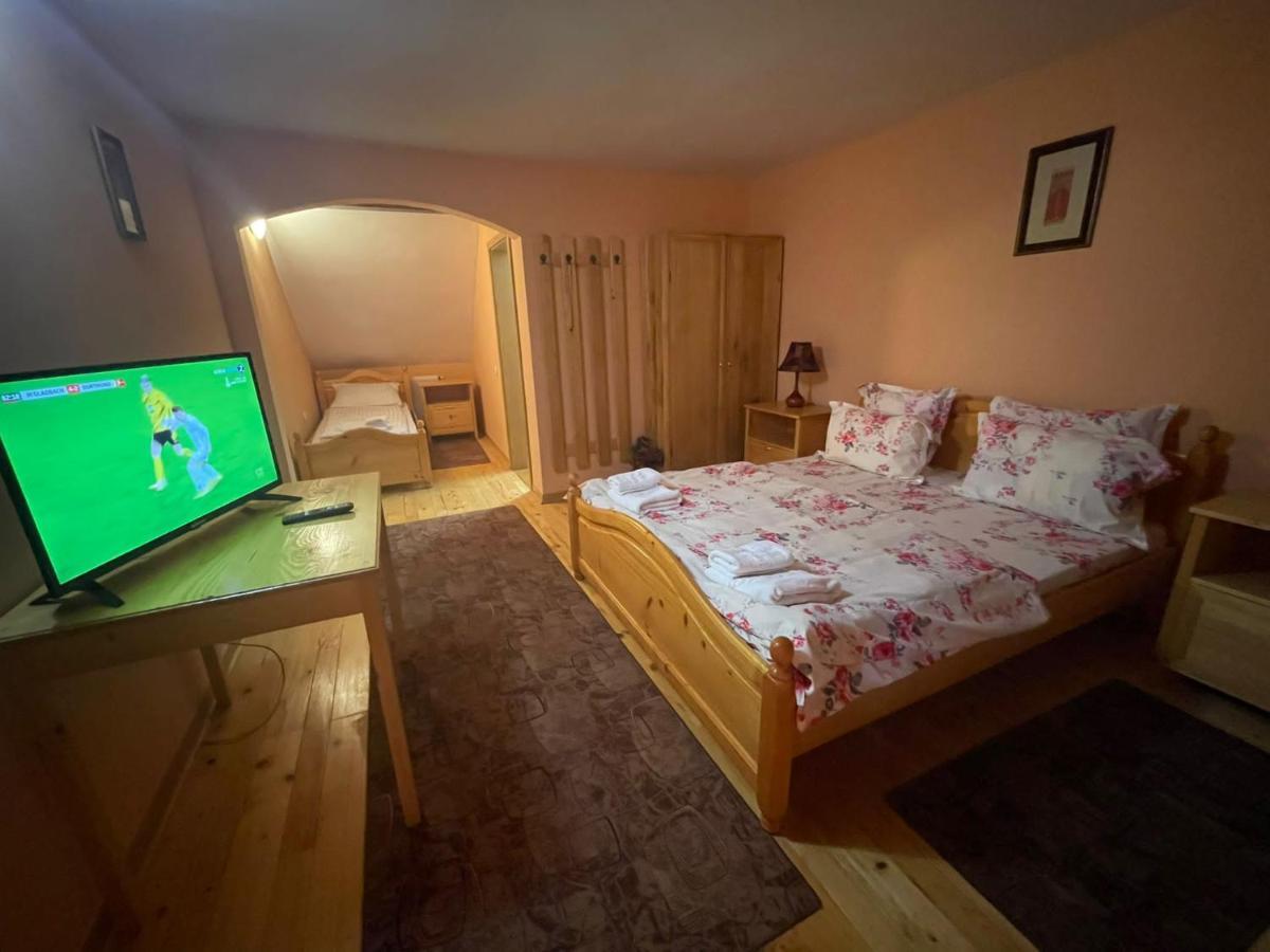 Pensiunea Ducu Scoreiu Exterior foto